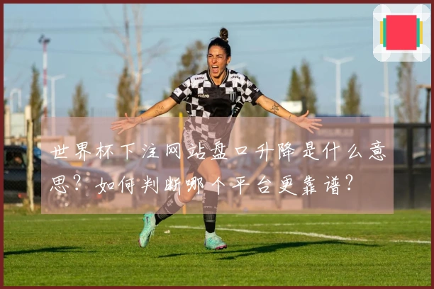 世界杯下注网站盘口升降是什么意思？如何判断哪个平台更靠谱？