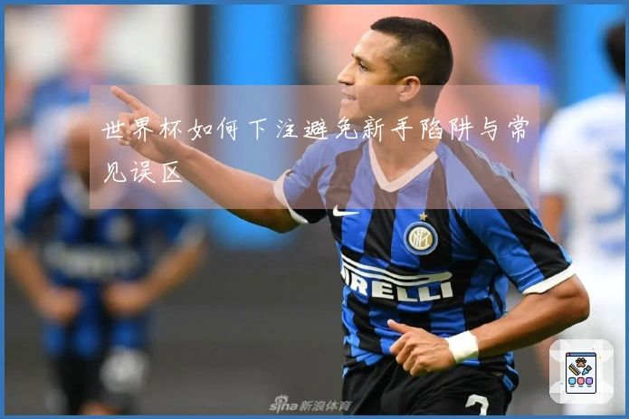世界杯如何下注避免新手陷阱与常见误区