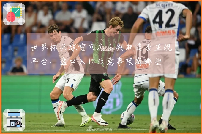 世界杯买球官网怎么判断是否正规平台，盘口入门注意事项有哪些